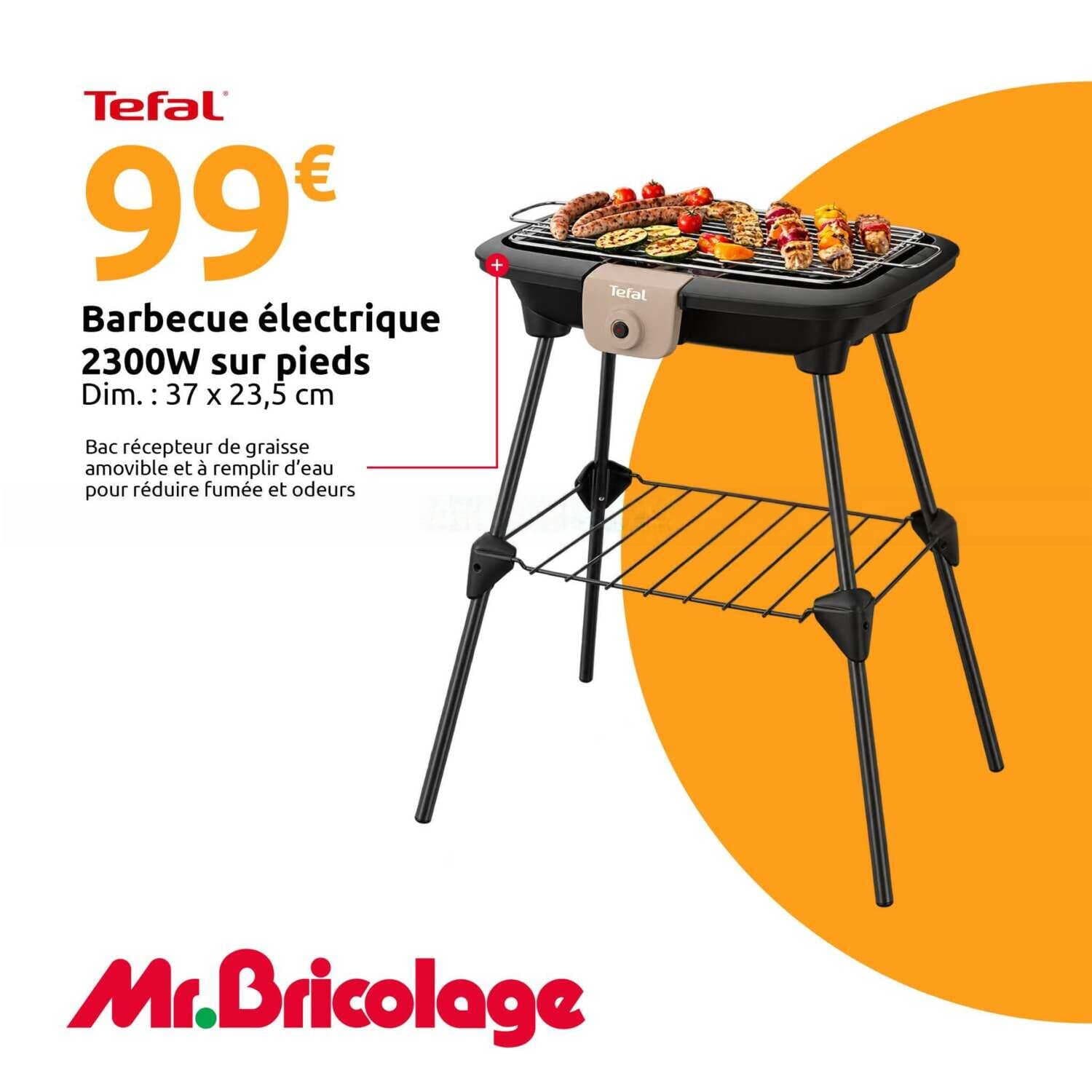 Barbecue électrique 2300w sur pieds