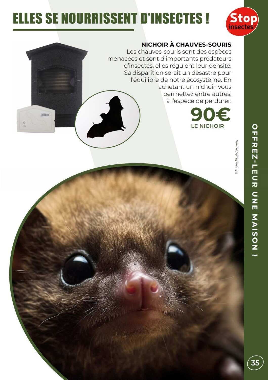 Nichoîr à chauves-souris