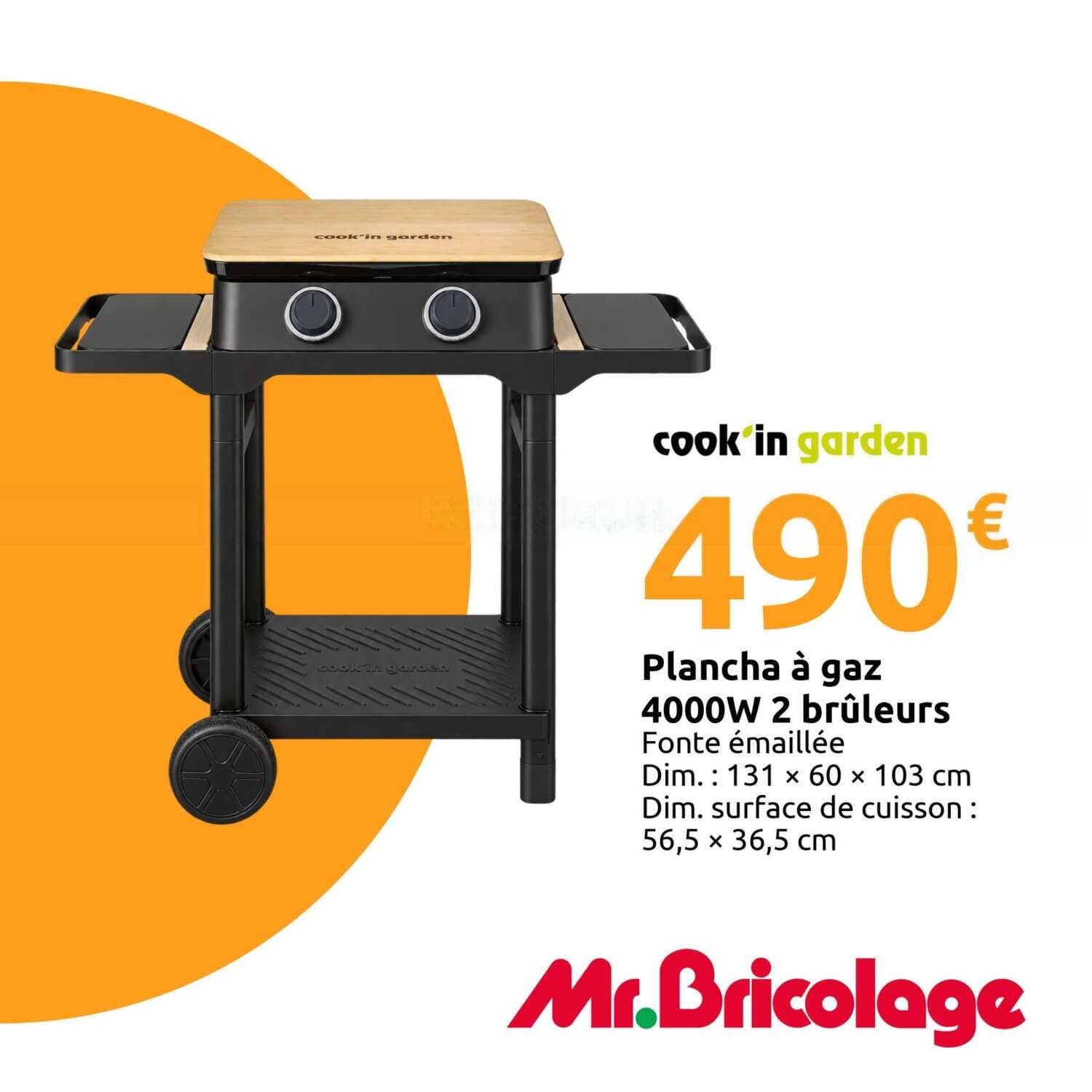 Plancha à gaz